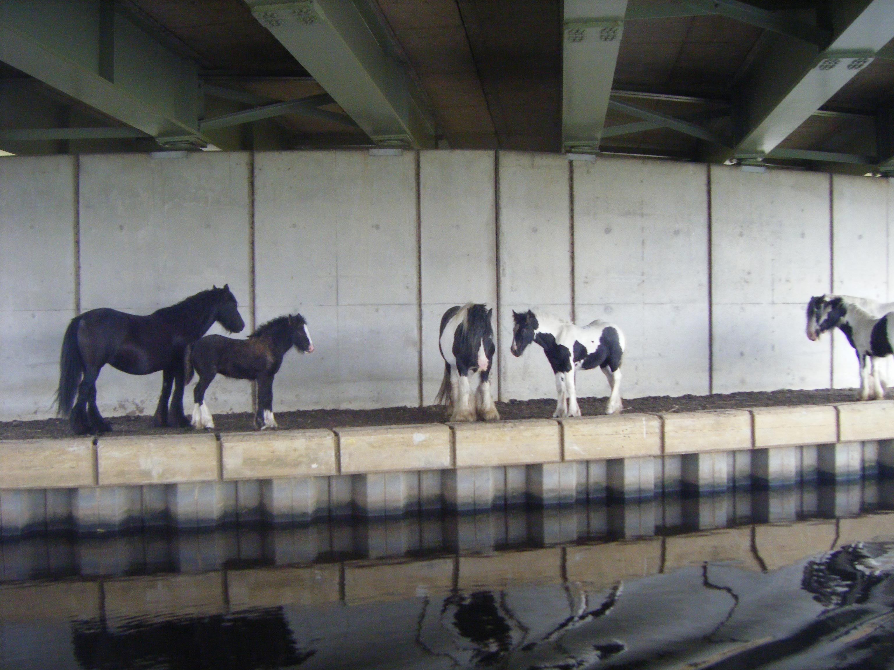 canals