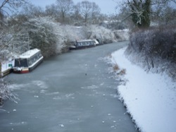 Nearest neighbours